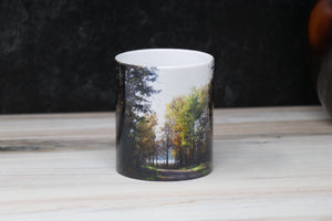 Fall Coffee Mug Picturing a Road and Fall Trees